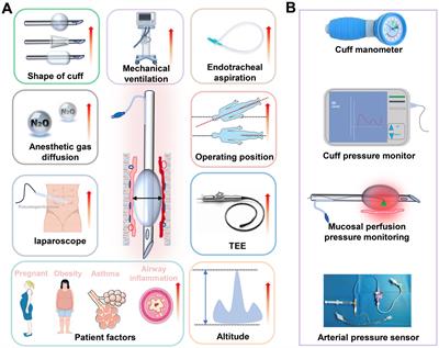 Reevaluating 30 cmH2O endotracheal tube cuff pressure: risks of airway mucosal damage during prolonged mechanical ventilation